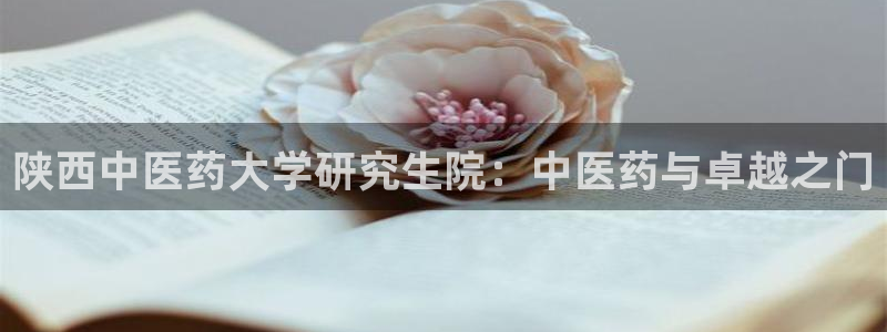 J9九游会官网-真人游戏第一品牌