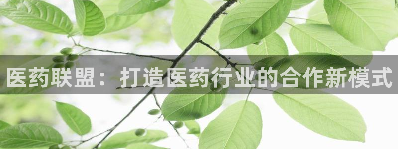 j92019九游会