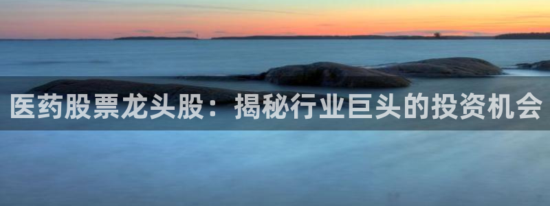 j9九游会安卓版下载
