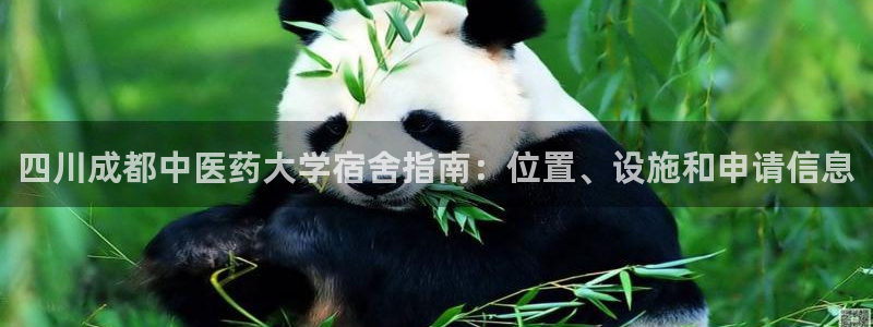 J9九游会旧版