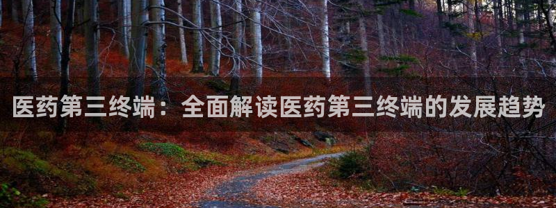 九游会ag真人官网在哪