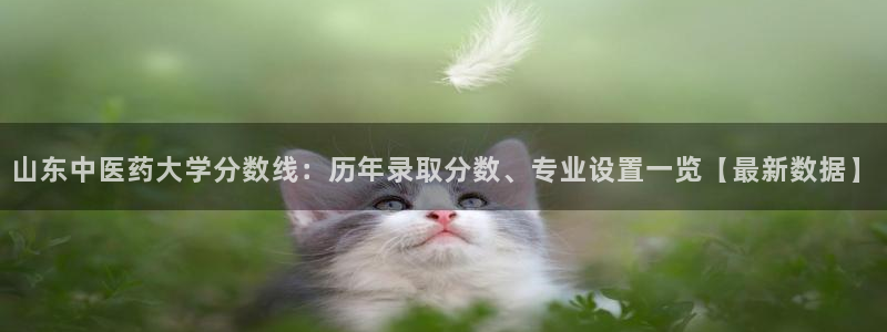 j9九游会官方网站国际怎么样
