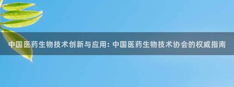 j9九游会入口