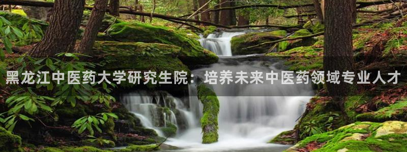 j9九游会体育