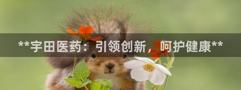 九游会官网进入