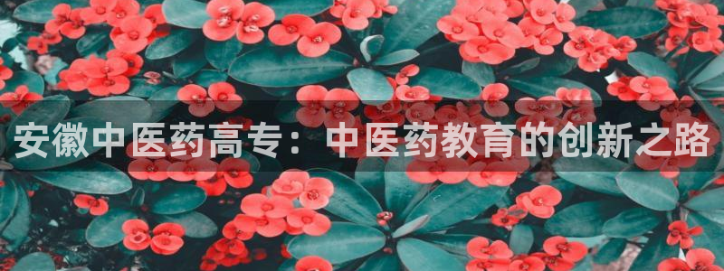 九游会官网开会