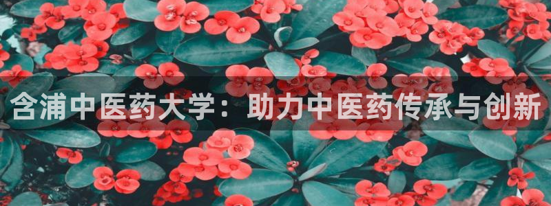 九游会网址最新