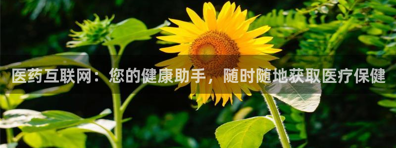 ag九游会登录中心