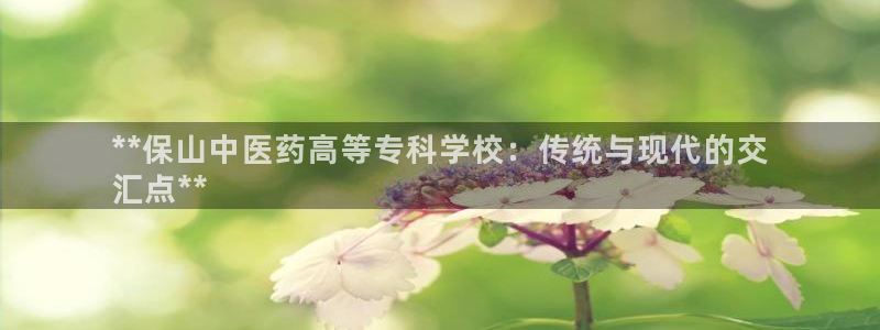 九游会登陆中心