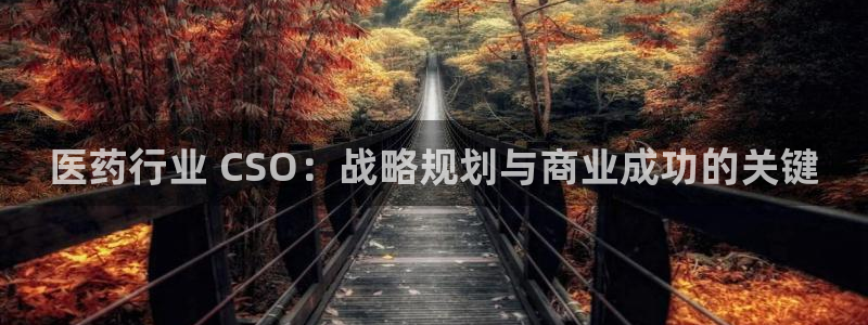 九游会j9全站平台