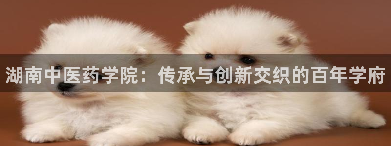 九游会跟ag是怎么一回事