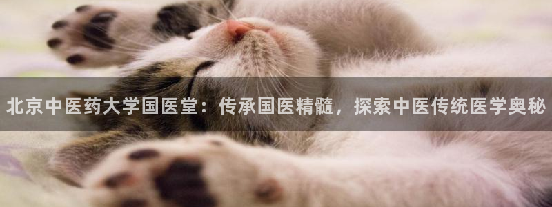 九游会老哥必备的俱乐部交流区论坛