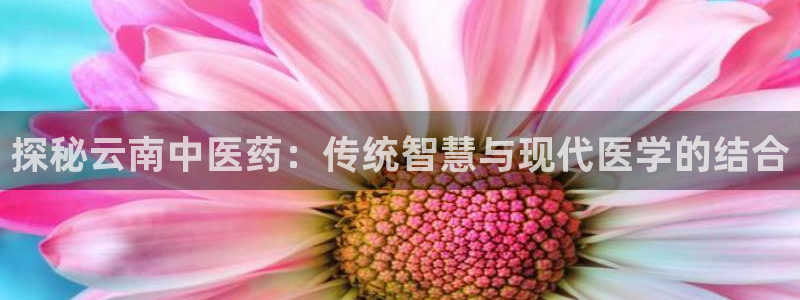 九游会app下载版官网正版