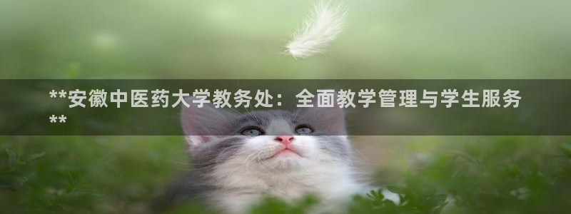九游会怎么了