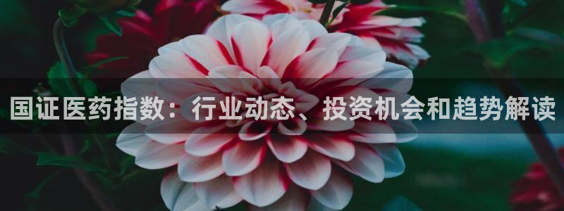 j9九游会登录入口首页
