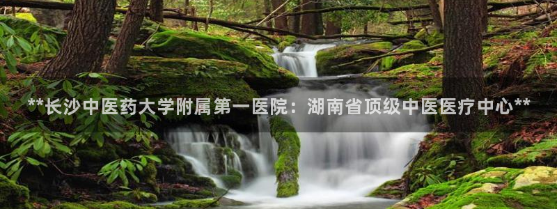 j9官网登录入口