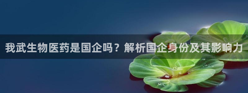九游会的网址是多少