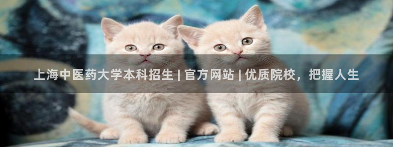 九游会集团官网