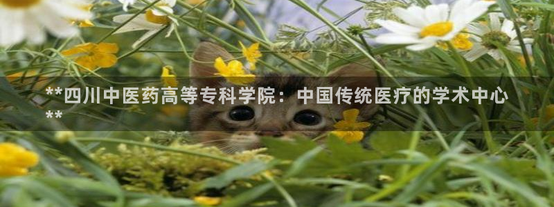 九游会提款安全吗