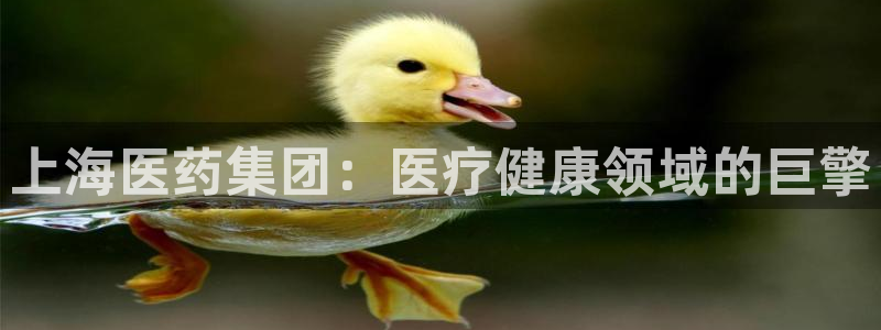 九游会j9官网入口登 