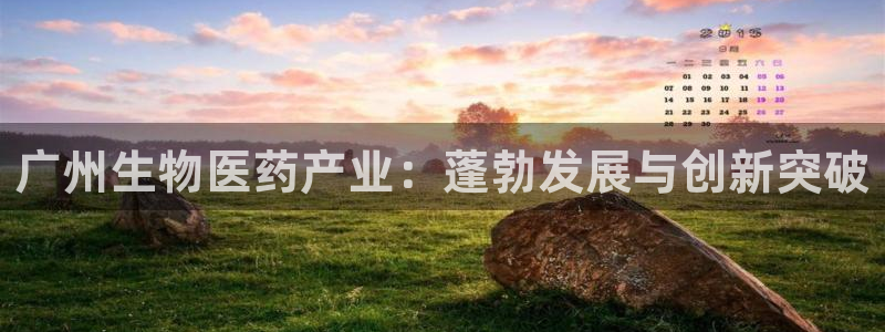 j9九游会官方网站国际