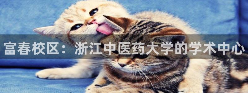 九游j9会 - 真人游戏第一品牌