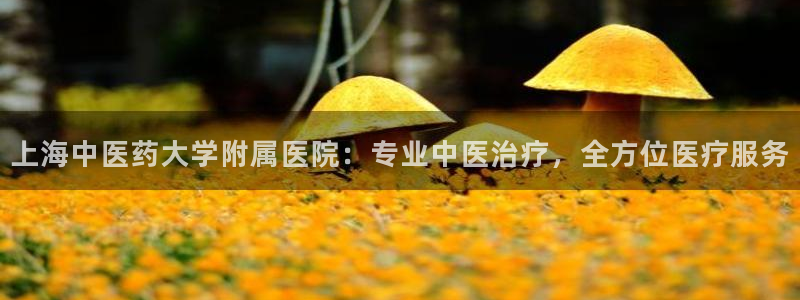九游会老哥俱乐部必备
